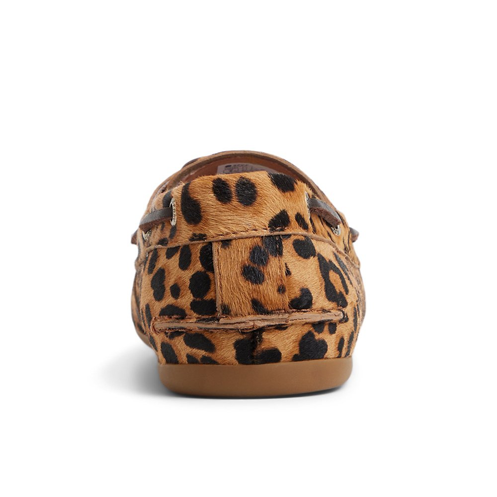 TommyBahama/10409837_199_alt3