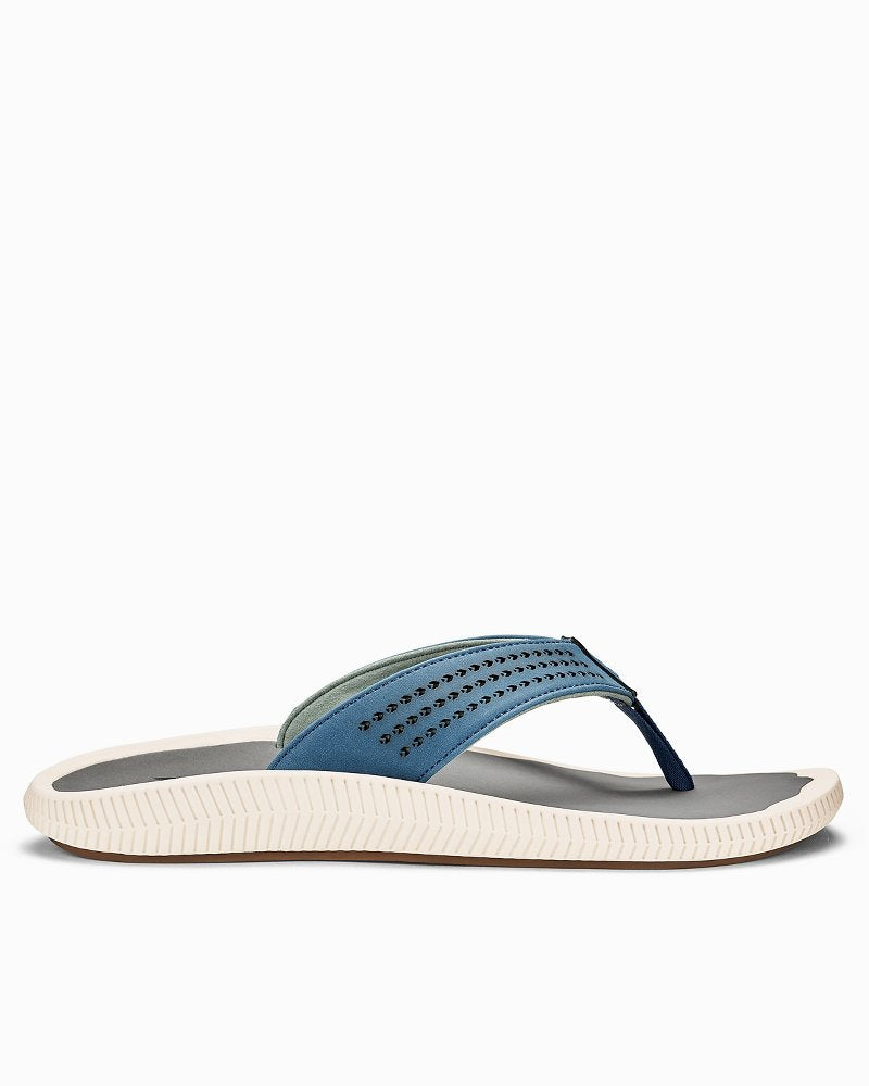 TommyBahama/10435_18501_main