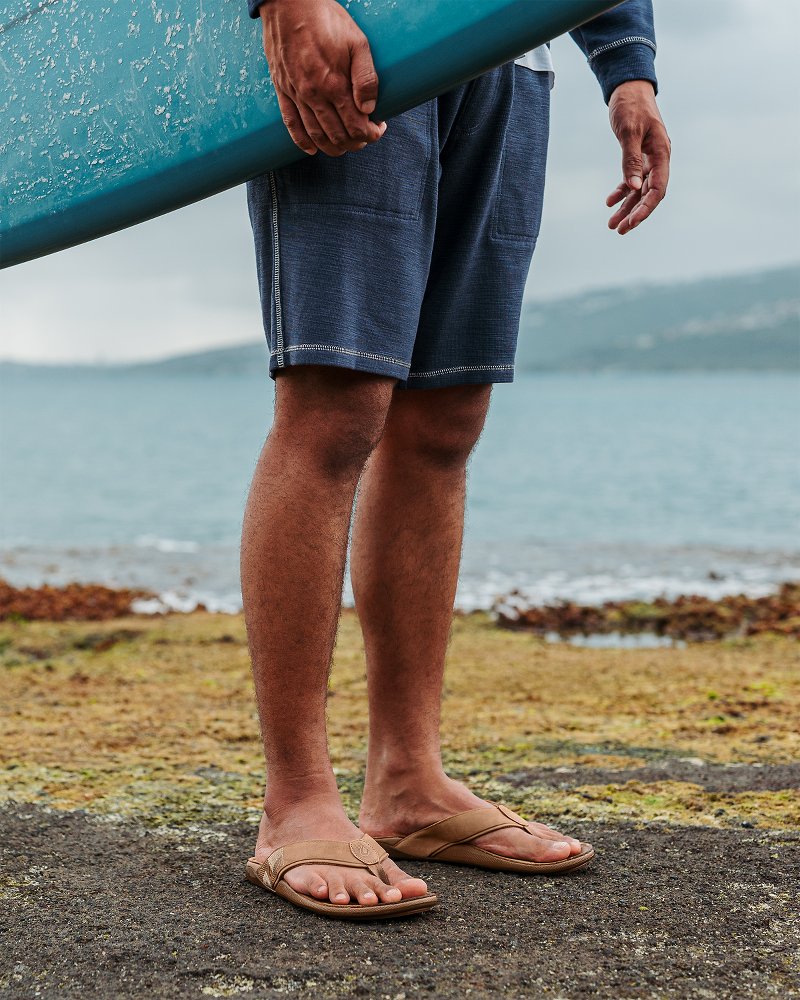 TommyBahama/10465_029_alt2