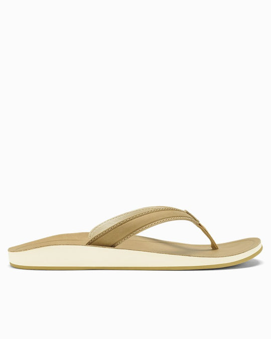 TommyBahama/20532_14442_main