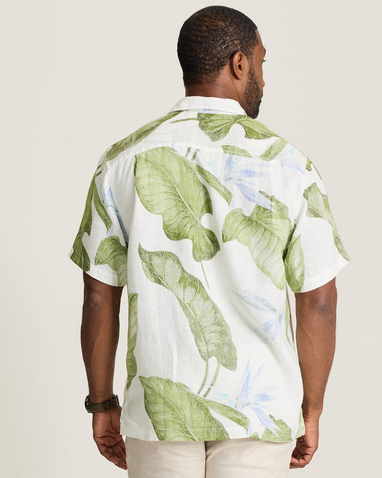 TommyBahama/ST327592_23430_alt1
