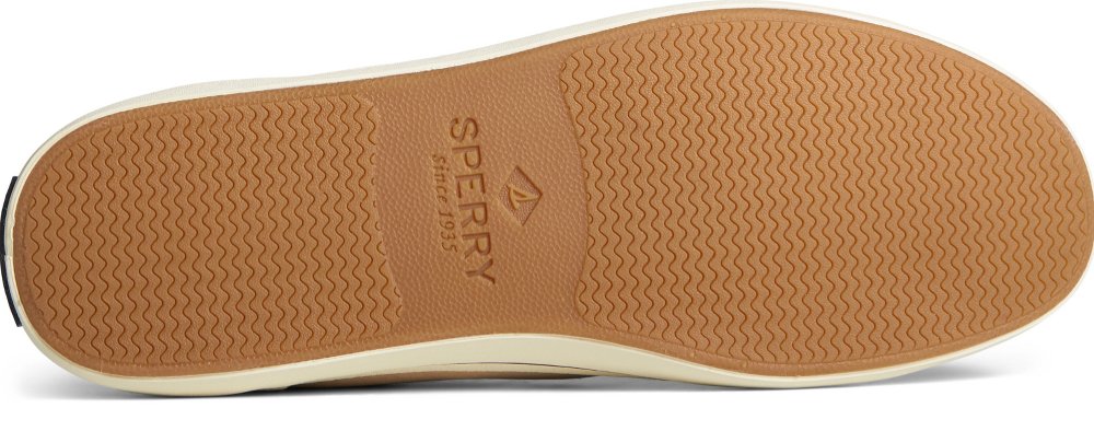 TommyBahama/STS25886_870_alt5