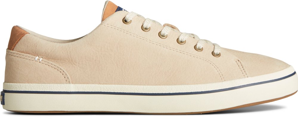 TommyBahama/STS25886_870_main