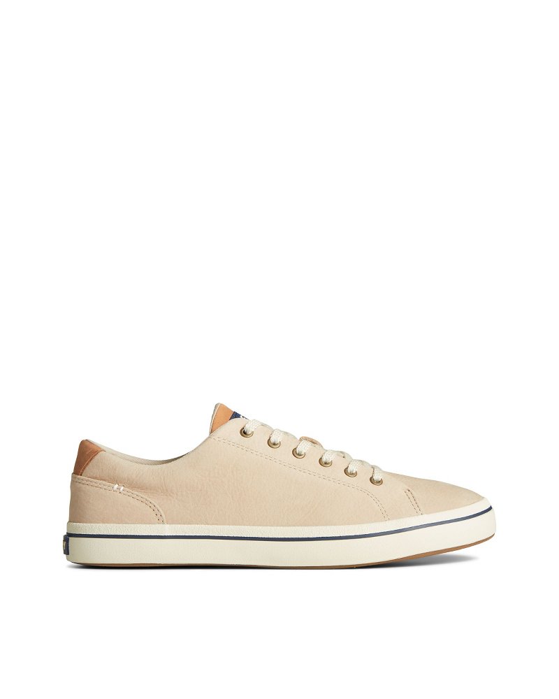 TommyBahama/STS25886_870_main
