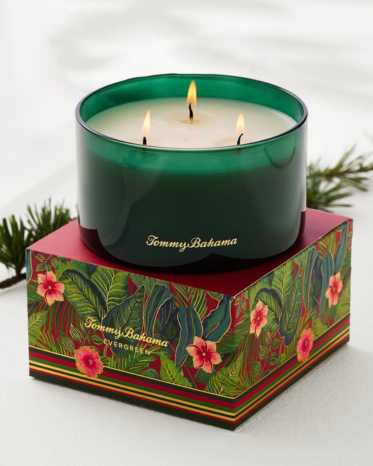 TommyBahama/TM1223_10895_alt1