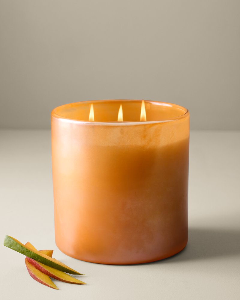 TommyBahama/TM1290_4810_main