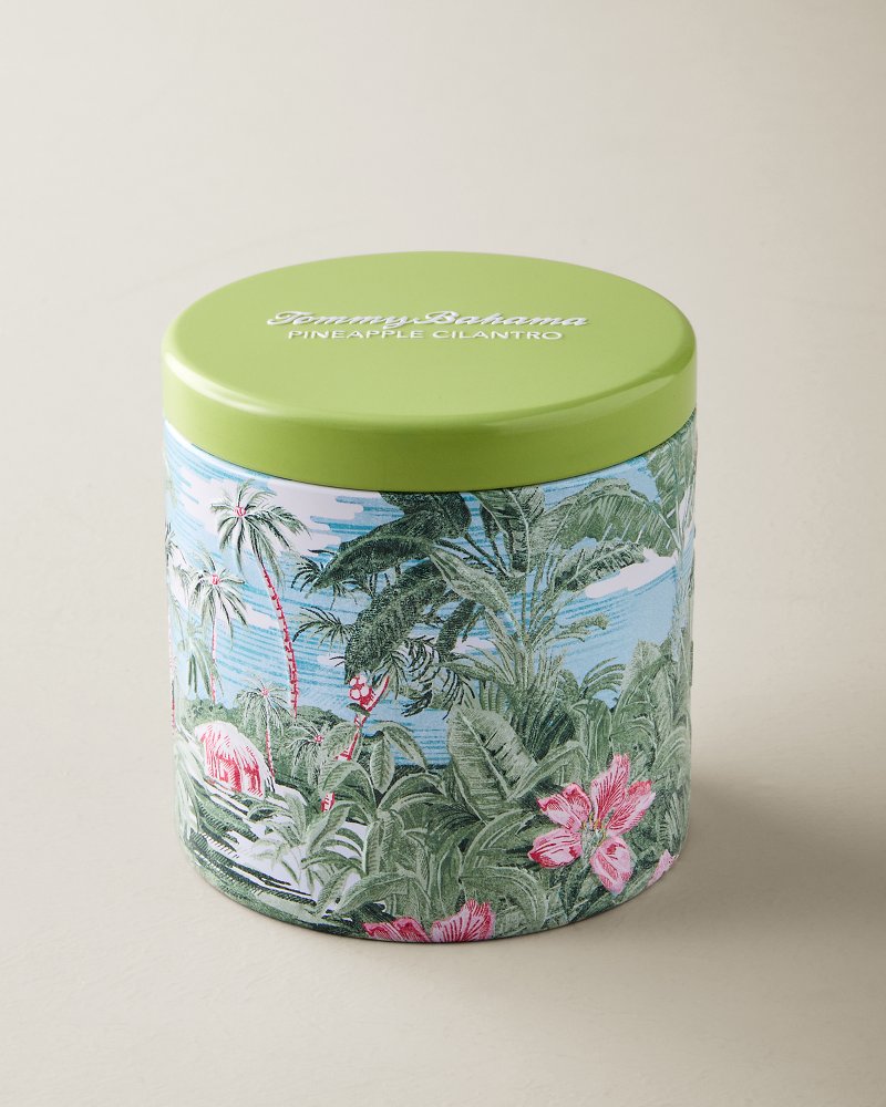 TommyBahama/TM1316_2826_alt1