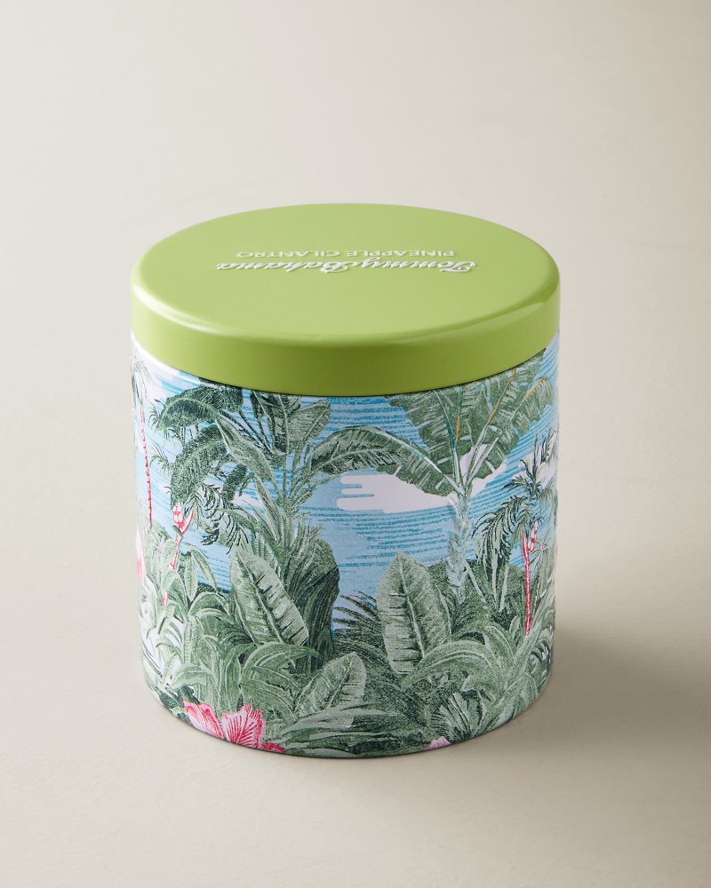 TommyBahama/TM1316_2826_alt2