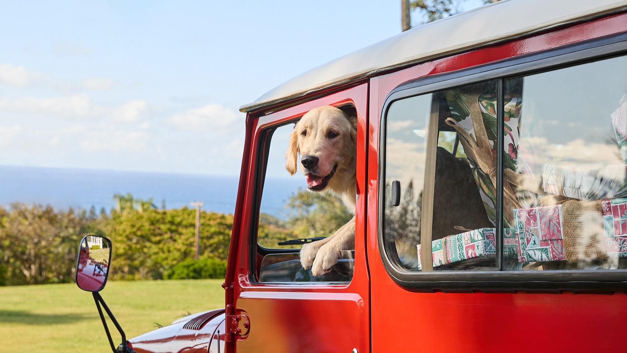 Dog looking out of a red vehicle window with a scenic background